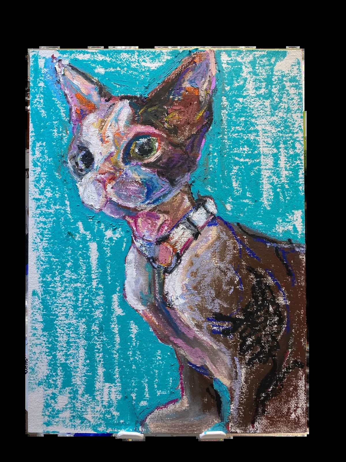 猫